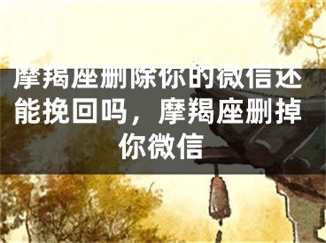 摩羯座删除你的微信还能挽回吗,摩羯座删掉你微信