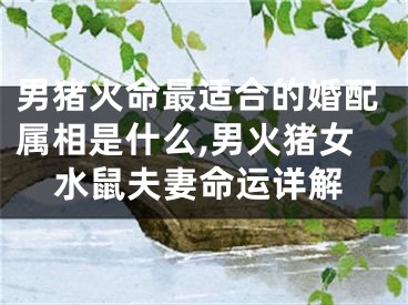 男猪火命最适合的婚配属相是什么,男火猪女水鼠夫妻命运详解