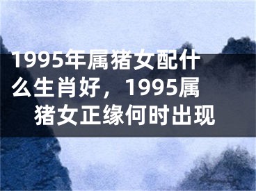 1995年属猪女配什么生肖好，1995属猪女正缘何时出现
