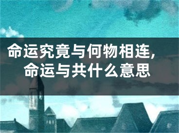 命运究竟与何物相连,命运与共什么意思