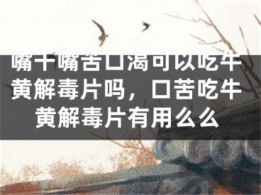 嘴干嘴苦口渴可以吃牛黄解毒片吗，口苦吃牛黄解毒片有用么么