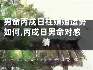 男命丙戌日柱婚姻运势如何,丙戌日男命对感情