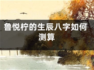 鲁悦柠的生辰八字如何测算