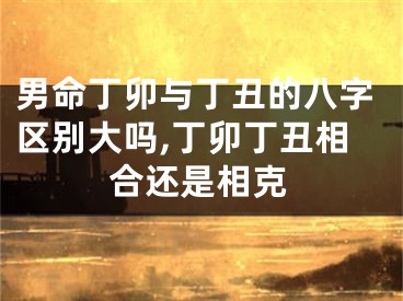 男命丁卯与丁丑的八字区别大吗,丁卯丁丑相合还是相克