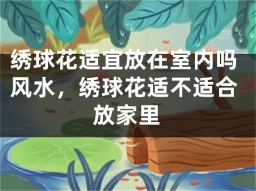 绣球花适宜放在室内吗风水，绣球花适不适合放家里