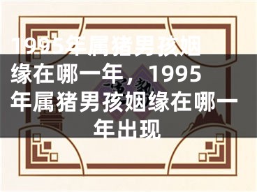 1995年属猪男孩姻缘在哪一年，1995年属猪男孩姻缘在哪一年出现