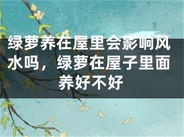 绿萝养在屋里会影响风水吗，绿萝在屋子里面养好不好