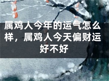 属鸡人今年的运气怎么样，属鸡人今天偏财运好不好