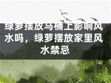 绿萝摆放马桶上影响风水吗,绿萝摆放家里风水禁忌