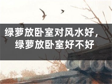 绿萝放卧室对风水好，绿萝放卧室好不好
