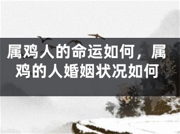 属鸡人的命运如何，属鸡的人婚姻状况如何