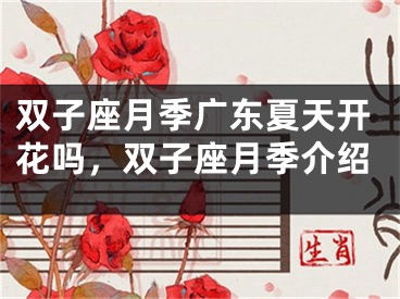 双子座月季广东夏天开花吗，双子座月季介绍