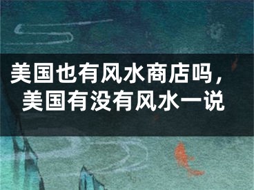 美国也有风水商店吗，美国有没有风水一说