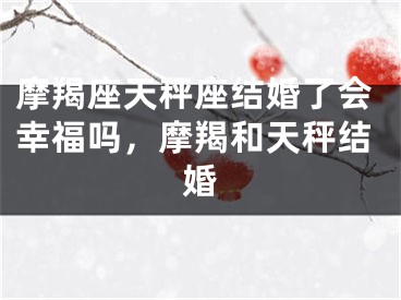 摩羯座天秤座结婚了会幸福吗，摩羯和天秤结婚