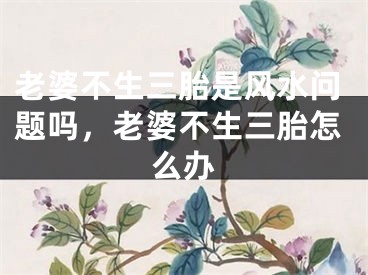 老婆不生三胎是风水问题吗，老婆不生三胎怎么办