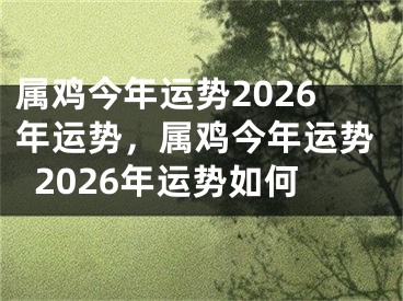 属鸡今年运势2026年运势，属鸡今年运势2026年运势如何