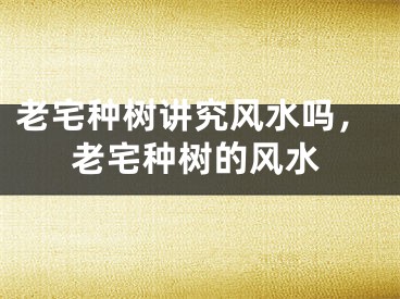 老宅种树讲究风水吗，老宅种树的风水