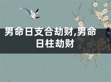男命日支合劫财,男命日柱劫财