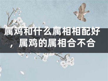 属鸡和什么属相相配好，属鸡的属相合不合