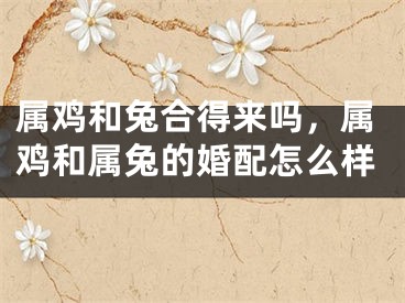 属鸡和兔合得来吗，属鸡和属兔的婚配怎么样