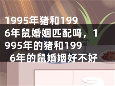 1995年猪和1996年鼠婚姻匹配吗，1995年的猪和1996年的鼠婚姻好不好