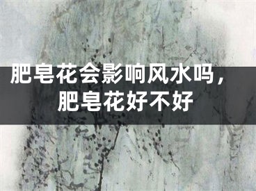 肥皂花会影响风水吗，肥皂花好不好