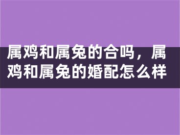 属鸡和属兔的合吗，属鸡和属兔的婚配怎么样