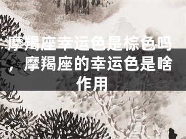 摩羯座幸运色是棕色吗，摩羯座的幸运色是啥作用