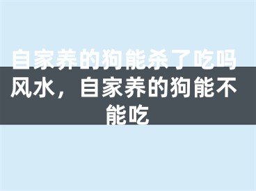 自家养的狗能杀了吃吗风水，自家养的狗能不能吃