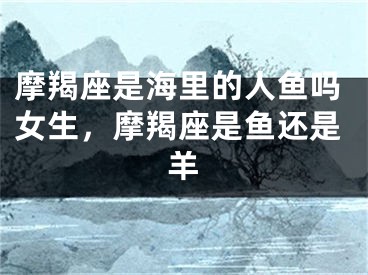 摩羯座是海里的人鱼吗女生，摩羯座是鱼还是羊