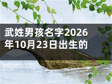 武姓男孩名字2026年10月23日出生的