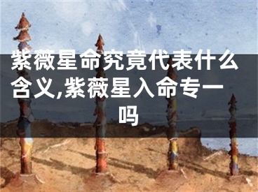 紫薇星命究竟代表什么含义,紫薇星入命专一吗