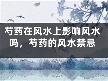 芍药在风水上影响风水吗，芍药的风水禁忌
