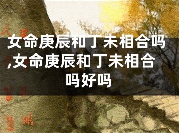 女命庚辰和丁未相合吗,女命庚辰和丁未相合吗好吗
