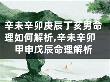 辛未辛卯庚辰丁亥男命理如何解析,辛未辛卯甲申戊辰命理解析