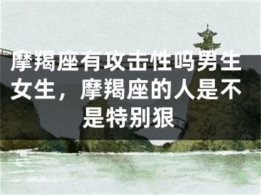 摩羯座有攻击性吗男生女生，摩羯座的人是不是特别狠