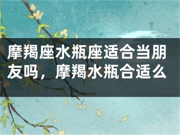 摩羯座水瓶座适合当朋友吗，摩羯水瓶合适么