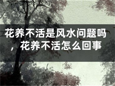 花养不活是风水问题吗，花养不活怎么回事