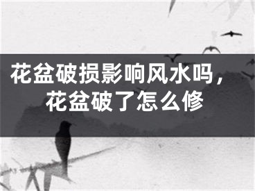 花盆破损影响风水吗,花盆破了怎么修