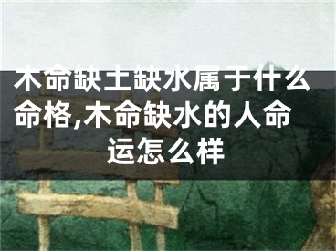 木命缺土缺水属于什么命格,木命缺水的人命运怎么样
