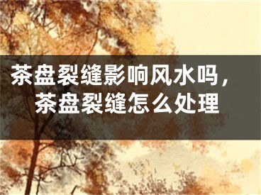 茶盘裂缝影响风水吗,茶盘裂缝怎么处理