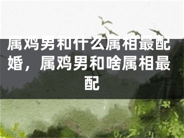 属鸡男和什么属相最配婚，属鸡男和啥属相最配