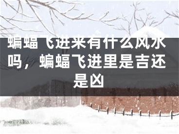 蝙蝠飞进来有什么风水吗,蝙蝠飞进里是吉还是凶