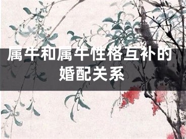 属牛和属牛性格互补的婚配关系
