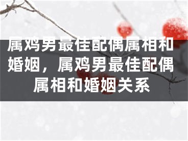 属鸡男最佳配偶属相和婚姻,属鸡男最佳配偶属相和婚姻关系