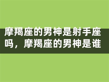 摩羯座的男神是射手座吗，摩羯座的男神是谁