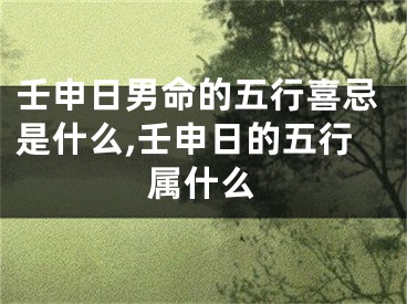 壬申日男命的五行喜忌是什么,壬申日的五行属什么