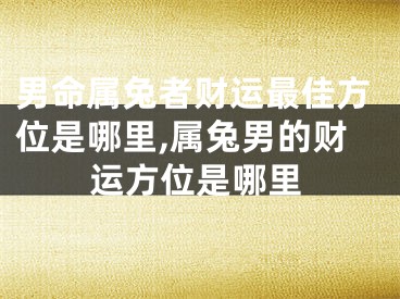 男命属兔者财运最佳方位是哪里,属兔男的财运方位是哪里