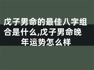 戊子男命的最佳八字组合是什么,戊子男命晚年运势怎么样