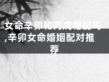 女命辛卯和丙戌相配吗,辛卯女命婚姻配对推荐